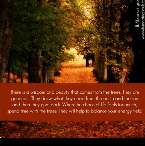 Meet your Posher, Brenda. - Picture 5 of 5